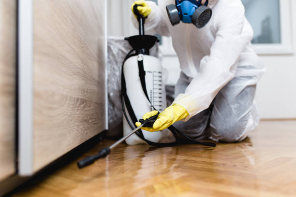 Best Pest Removal Services  in Walsenburg, CO
