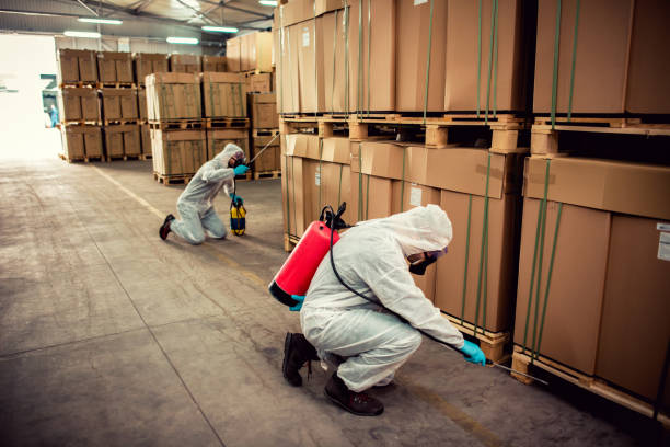 Best Exterminator Services  in Walsenburg, CO