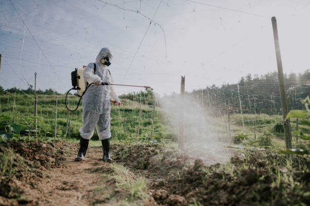 Best Affordable Pest Control Services  in Walsenburg, CO