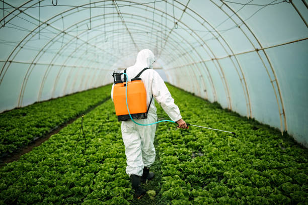 Best Best Pest Control Companies  in Walsenburg, CO