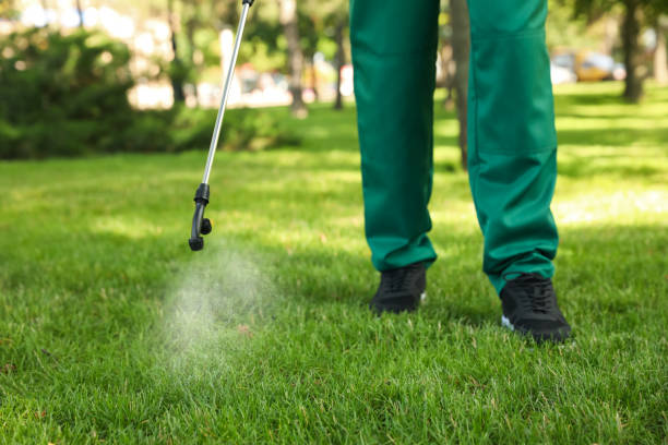 Best Rat Extermination Near Me  in Walsenburg, CO