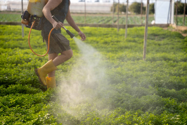 Professional Pest Control in Walsenburg, CO