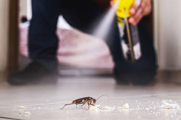 Best Pest Control Treatment  in Walsenburg, CO